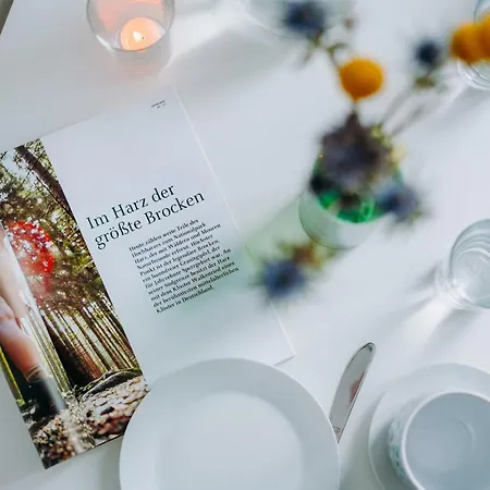 Harzallerliebst Semesterbostad *