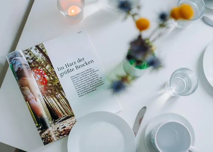 Harzallerliebst Tatil Evi *